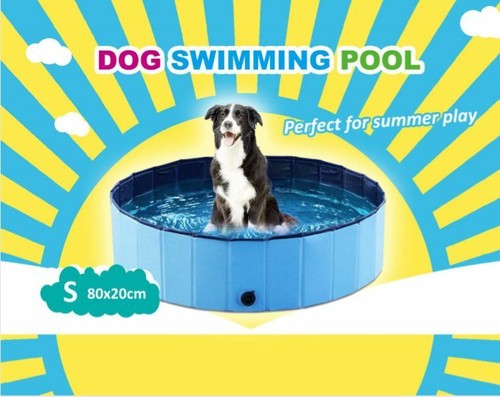 Childrens swimming pool dog - -,