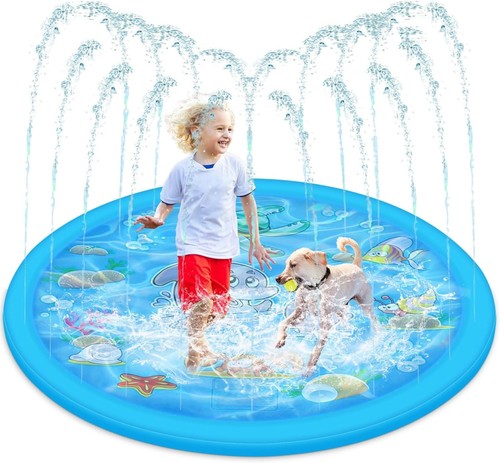 Dog pool small paddling - paddling,
