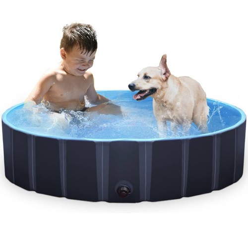 Paddling pool kids - paddling, dog